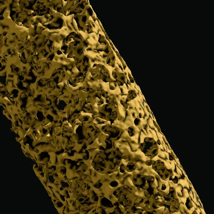 Macro detail of the Sayfer Bio scaffold's porous structure